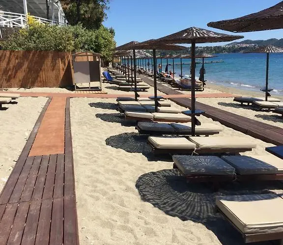 Vassilias Beach Hotel Hotel