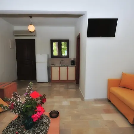 호텔 Vassilias Beach Hotel Vasilias (Skiathos)