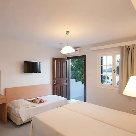 Hotel Vassilias *