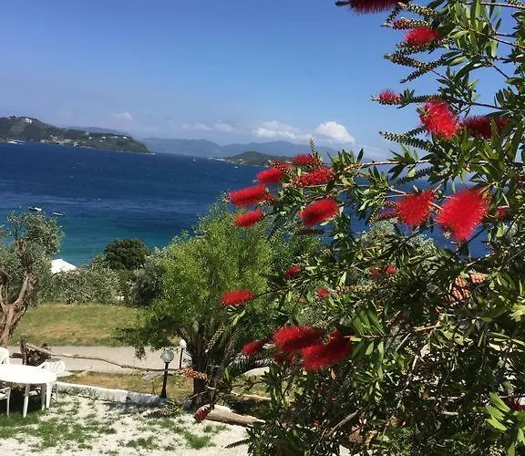 vassilias beach hotel * Vasilias (Skiathos)